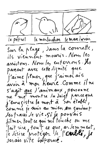 Autoportrait Alain Cavalier 8